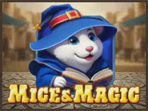 Mice & Magic Wonder Spin